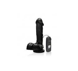  6 inches Cock Balls, Vibrating Egg & Suction Cup Black  